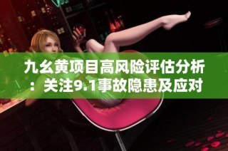 九幺黄项目高风险评估分析：关注9.1事故隐患及应对策略