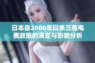 日本自2000年以来三色电费政策的演变与影响分析