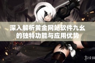 深入解析黄金网站软件九幺的独特功能与应用优势