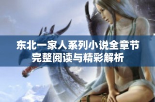 东北一家人系列小说全章节完整阅读与精彩解析