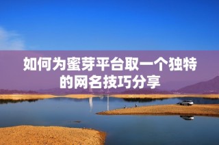 如何为蜜芽平台取一个独特的网名技巧分享
