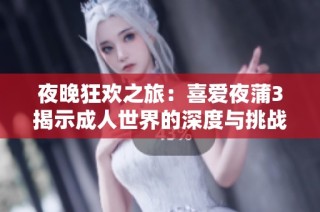 夜晚狂欢之旅：喜爱夜蒲3揭示成人世界的深度与挑战