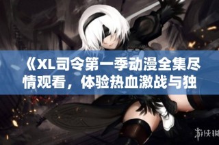 《XL司令第一季动漫全集尽情观看，体验热血激战与独特剧情》
