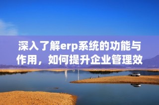 深入了解erp系统的功能与作用，如何提升企业管理效率