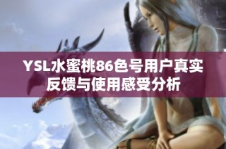 YSL水蜜桃86色号用户真实反馈与使用感受分析