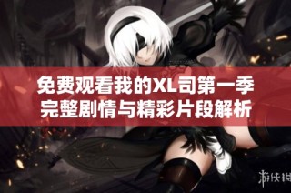 免费观看我的XL司第一季完整剧情与精彩片段解析