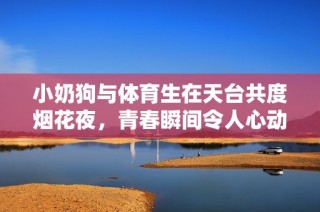 小奶狗与体育生在天台共度烟花夜，青春瞬间令人心动
