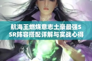 航海王燃烧意志土豪最强SSR阵容搭配详解与实战心得