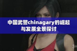 中国武警chinagary的崛起与发展全景探讨