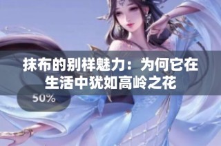 抹布的别样魅力：为何它在生活中犹如高岭之花