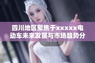 四川地区聚焦于xxxxx电动车未来发展与市场趋势分析