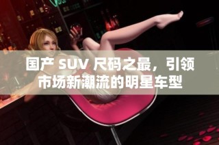 国产 SUV 尺码之最，引领市场新潮流的明星车型