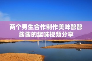 两个男生合作制作美味酿酿酱酱的趣味视频分享