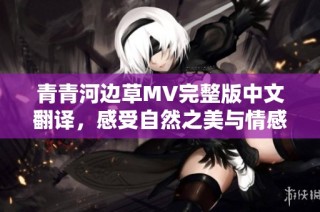 青青河边草MV完整版中文翻译，感受自然之美与情感共鸣