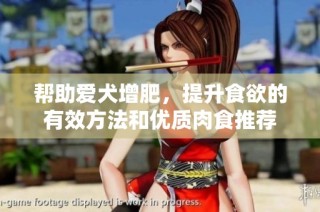 帮助爱犬增肥，提升食欲的有效方法和优质肉食推荐