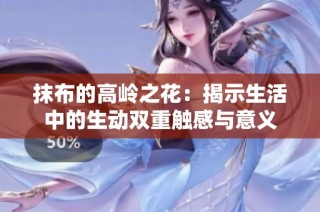 抹布的高岭之花：揭示生活中的生动双重触感与意义