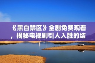 《黑白禁区》全剧免费观看，揭秘电视剧引人入胜的结局解析