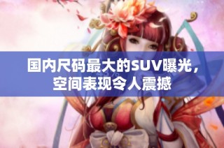 国内尺码最大的SUV曝光，空间表现令人震撼