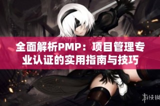 全面解析PMP：项目管理专业认证的实用指南与技巧