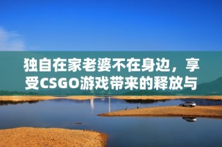 独自在家老婆不在身边，享受CSGO游戏带来的释放与快乐