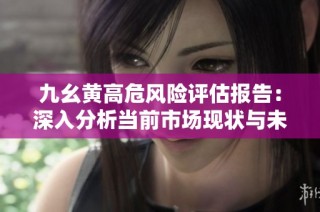 九幺黄高危风险评估报告：深入分析当前市场现状与未来趋势