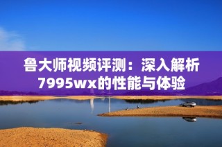 鲁大师视频评测：深入解析7995wx的性能与体验