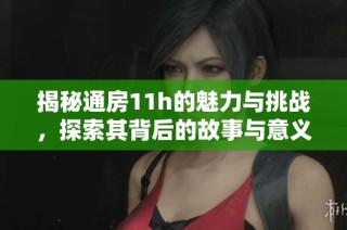 揭秘通房11h的魅力与挑战，探索其背后的故事与意义