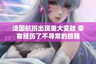 法国航班出现重大变故 乘客经历了不寻常的旅程