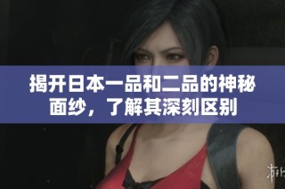 揭开日本一品和二品的神秘面纱，了解其深刻区别