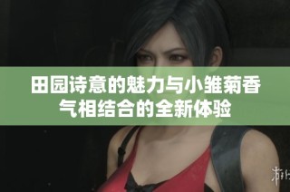 田园诗意的魅力与小雏菊香气相结合的全新体验