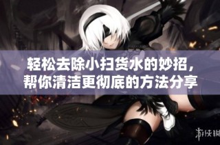轻松去除小扫货水的妙招，帮你清洁更彻底的方法分享