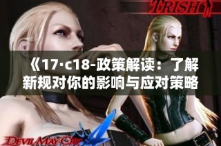 《17·c18-政策解读：了解新规对你的影响与应对策略》