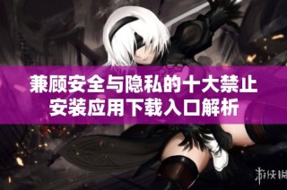 兼顾安全与隐私的十大禁止安装应用下载入口解析