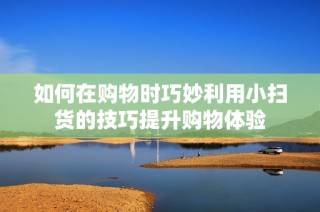如何在购物时巧妙利用小扫货的技巧提升购物体验