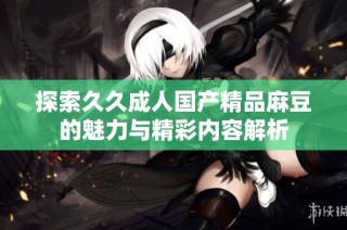 探索久久成人国产精品麻豆的魅力与精彩内容解析