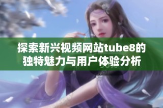 探索新兴视频网站tube8的独特魅力与用户体验分析
