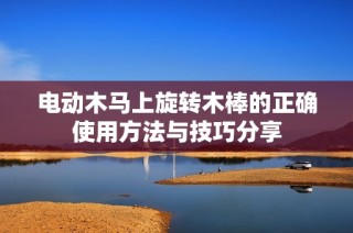 电动木马上旋转木棒的正确使用方法与技巧分享