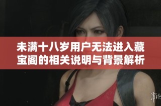 未满十八岁用户无法进入藏宝阁的相关说明与背景解析