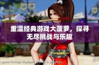 重温经典游戏大菠萝，探寻无尽挑战与乐趣