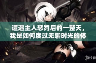 遭遇主人惩罚后的一整天，我是如何度过无聊时光的体验与反思