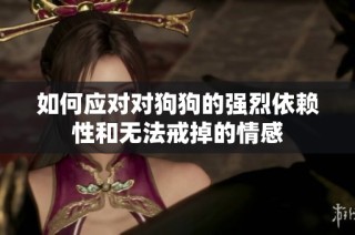如何应对对狗狗的强烈依赖性和无法戒掉的情感