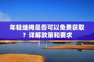 年轻继拇是否可以免费获取？详解政策和要求