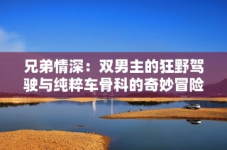兄弟情深：双男主的狂野驾驶与纯粹车骨科的奇妙冒险