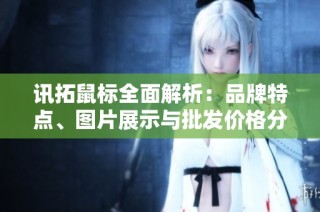 讯拓鼠标全面解析：品牌特点、图片展示与批发价格分享
