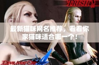 最新猫咪网名推荐，看看你家猫咪适合哪一个！