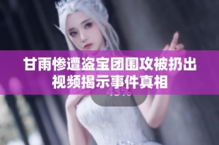 甘雨惨遭盗宝团围攻被扔出视频揭示事件真相