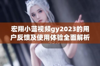 宏翔小蓝视频gy2023的用户反馈及使用体验全面解析