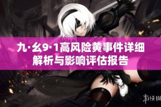 九·幺9·1高风险黄事件详细解析与影响评估报告