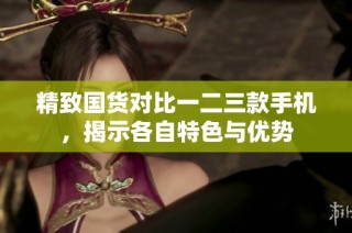 精致国货对比一二三款手机，揭示各自特色与优势
