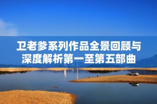 卫老爹系列作品全景回顾与深度解析第一至第五部曲